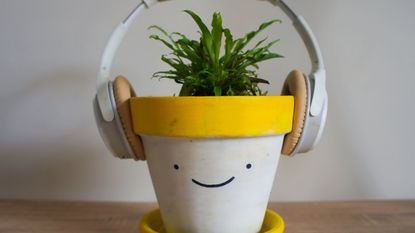 A houseplant in a yellow and white pot with a smiley face drawn on it. Headphones are mounted on the pot.