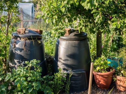 Two Black Compost Bins In Garden