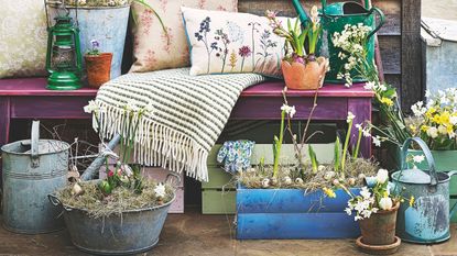 Assortment of spring flowers in pots around bench with cushions and metal watering can