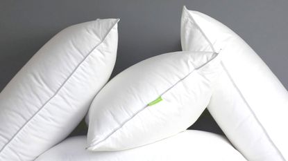 best pillow: Scooms Hungarian Goose Down pillow