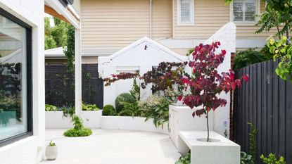 A clean garden with dwarf trees and lush foliage 