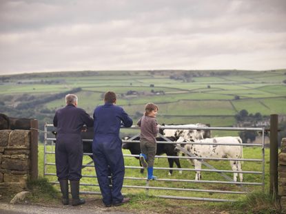 farming family looking at cows and land