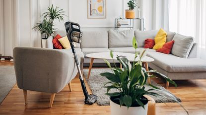 Cordless vacuum cleaner leaning against sofa in living room