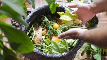 Adding kitchen scraps to compost bin