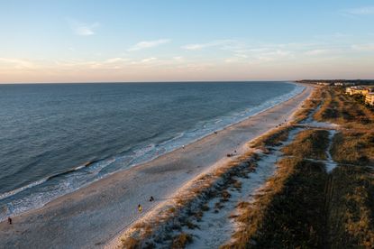 Expanse of beach and ocean at Hilton Head Island