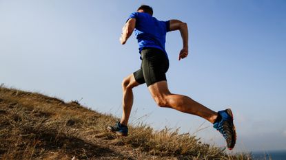 A main trail running on a hill