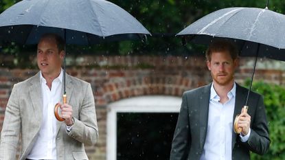 Prince William and Prince Harry both hold black umbrellas in the rain while wearing suit jackets and white shirts without ties