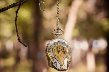 A gold pocket watch hangs from a branch, melting in a way that evokes a Salvador Dali painting.