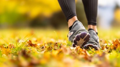 Woman&#039;s trainers walking through sunny field with leaves on the ground, representing the idea of walking 30 minutes a day