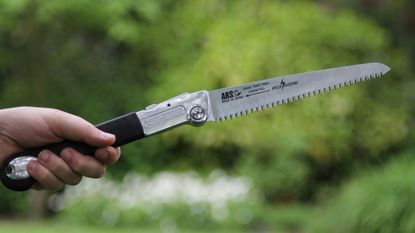 ARS PM 21 pruning saw