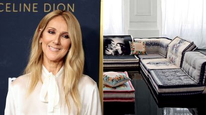 celine dion and a roche bobois mahjong sofa