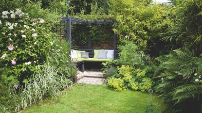 Area of lawn with a gravel seating area with pergola behind it and shrubs and trees to the side