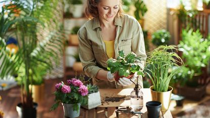 Happy woman tends to her new plants