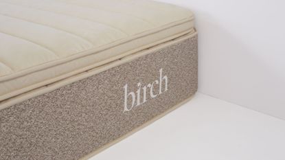 The corner of the Birch Plush Organic Mattress Topper against a white wall.