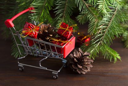 A little shopping trolley with tiny presents and a pine cone in, next to a Christmas tree branch.