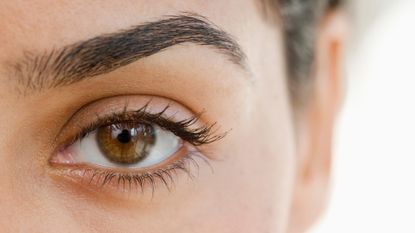 Close up of woman&#039;s eye and eyebrow