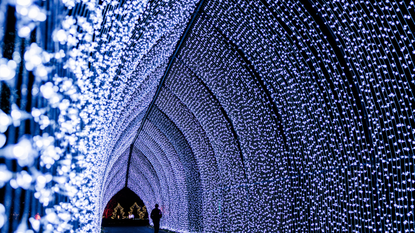 Festive light trail at Kew Gardens.