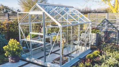 Metal framed greenhouse in winter garden