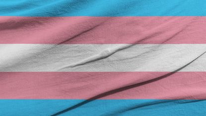 Trans flag