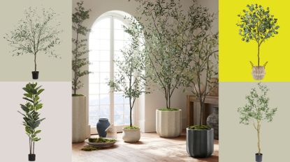 An image of a sunny but bare room with four large potted faux trees