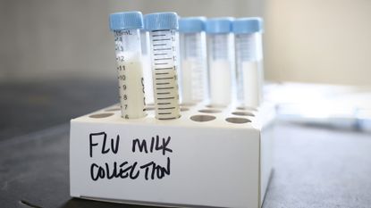 Milk gathered for testing amid H5N1 avian flu outbreak