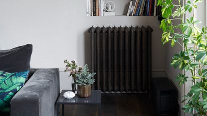 A grey-painted living room with a dark grey velvet sofa and a black radiator