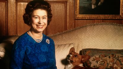 Queen Elizabeth wearing a blue dress and pearls and smiling sitting on a couch next to a Corgi