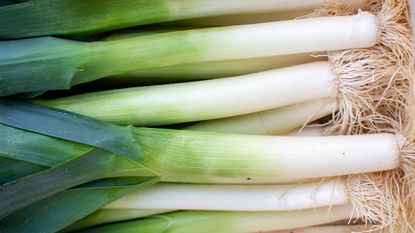 Leeks piled up in a box