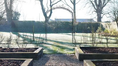 raised beds on winter morning