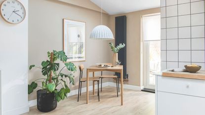 Large potted monstera or Swiss cheese houseplant next to table in dining room