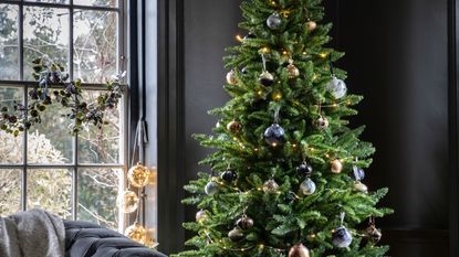 A closeup of a decroated Christmas tree in bright living room