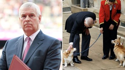 Prince Andrew wears a suit with a white shirt and red tie while holding a dark red folder and he pets the Queen&#039;s corgis