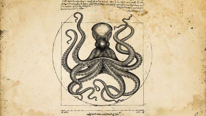 Illustrative collage of a parody of Leonardo Da Vinci&#039;s Vitruvian man, with an octopus instead of a man.