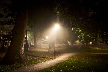 A dark park at night, illuminated by a streetlight