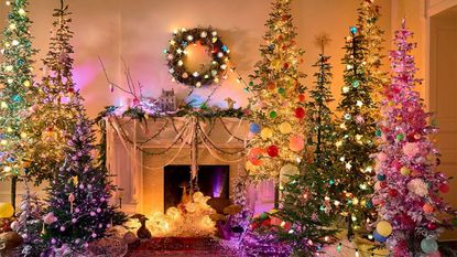 Room filled with Christmas trees and colorful lights