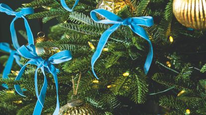 christmas tree with velvet ribbon bows