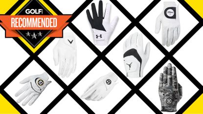 An array of different golf gloves in a grid format