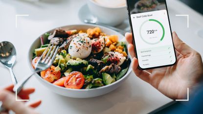 Person using one of the best calorie counter apps to track beef cobbler salad sitting at table