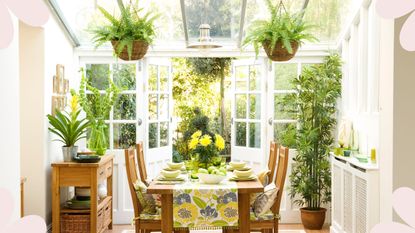 picture of sunroomconservatory with lots of houseplants inside