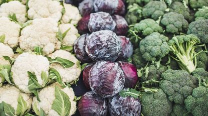 Cruciferous vegetables in rows on display