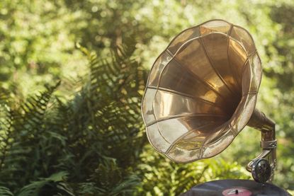 Record Player Next To Plants