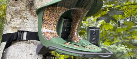 A photo of the Birdfy Feeder 2 Duo mounted to a tree