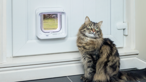 Cat sitting next to a door with the SureFlap Microchip Pet Door Connect installed