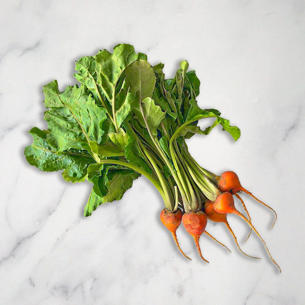 Baby Golden Beetroot, X 3 Bunches