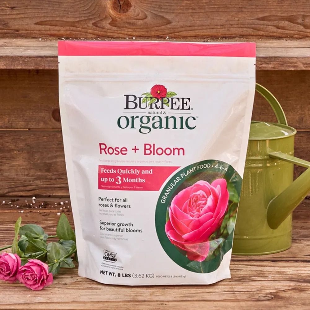 Burpee rose granular feed