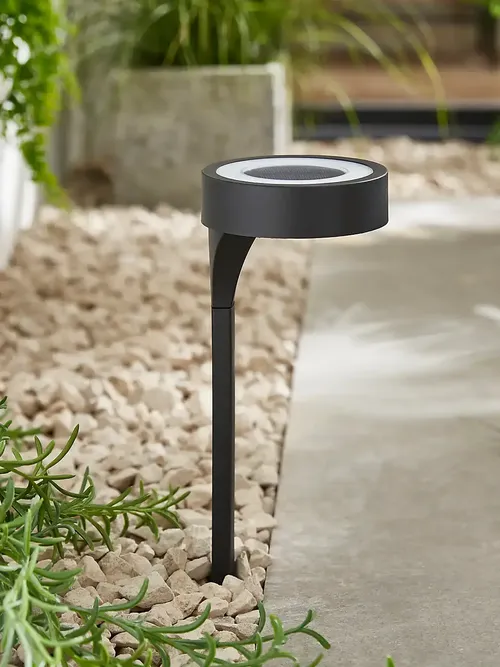Solar Up & Down Stake Light