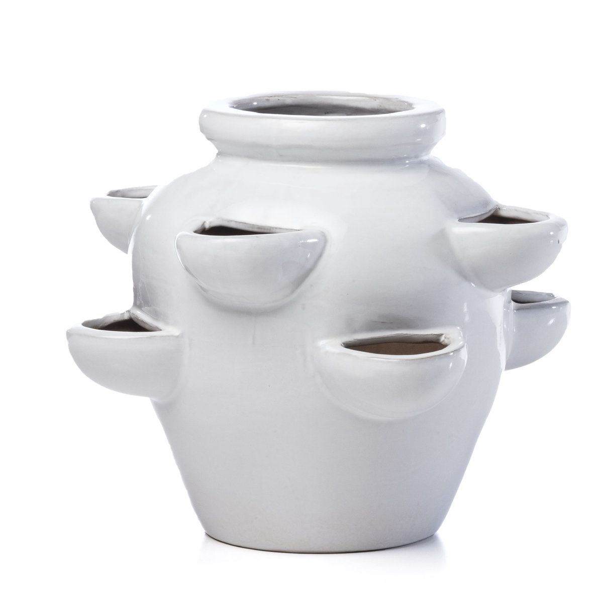 World Menagerie Seo 8 Pocket Strawberry Ceramic Pot Planter &amp;amp; Reviews | Wayfair