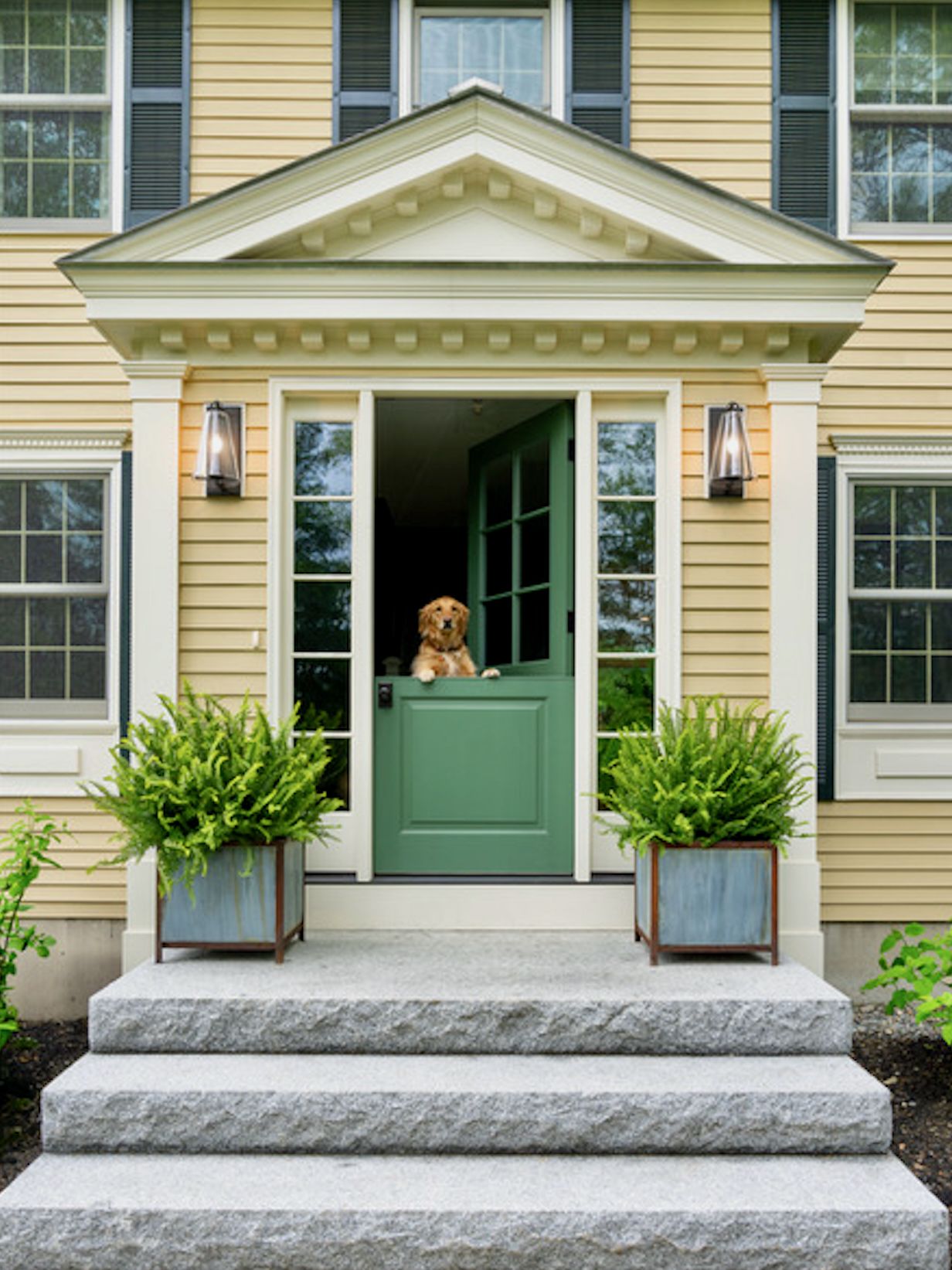 dog looking out of dutch door