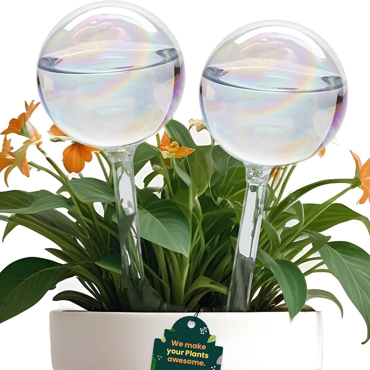 Iridescent Self Watering Globes, Glass Rainbow Plant Watering Globes, Self Watering Planter Insert, Automatic Plant Waterer Indoor (medium-2 Pcs Iridescent, Medium)