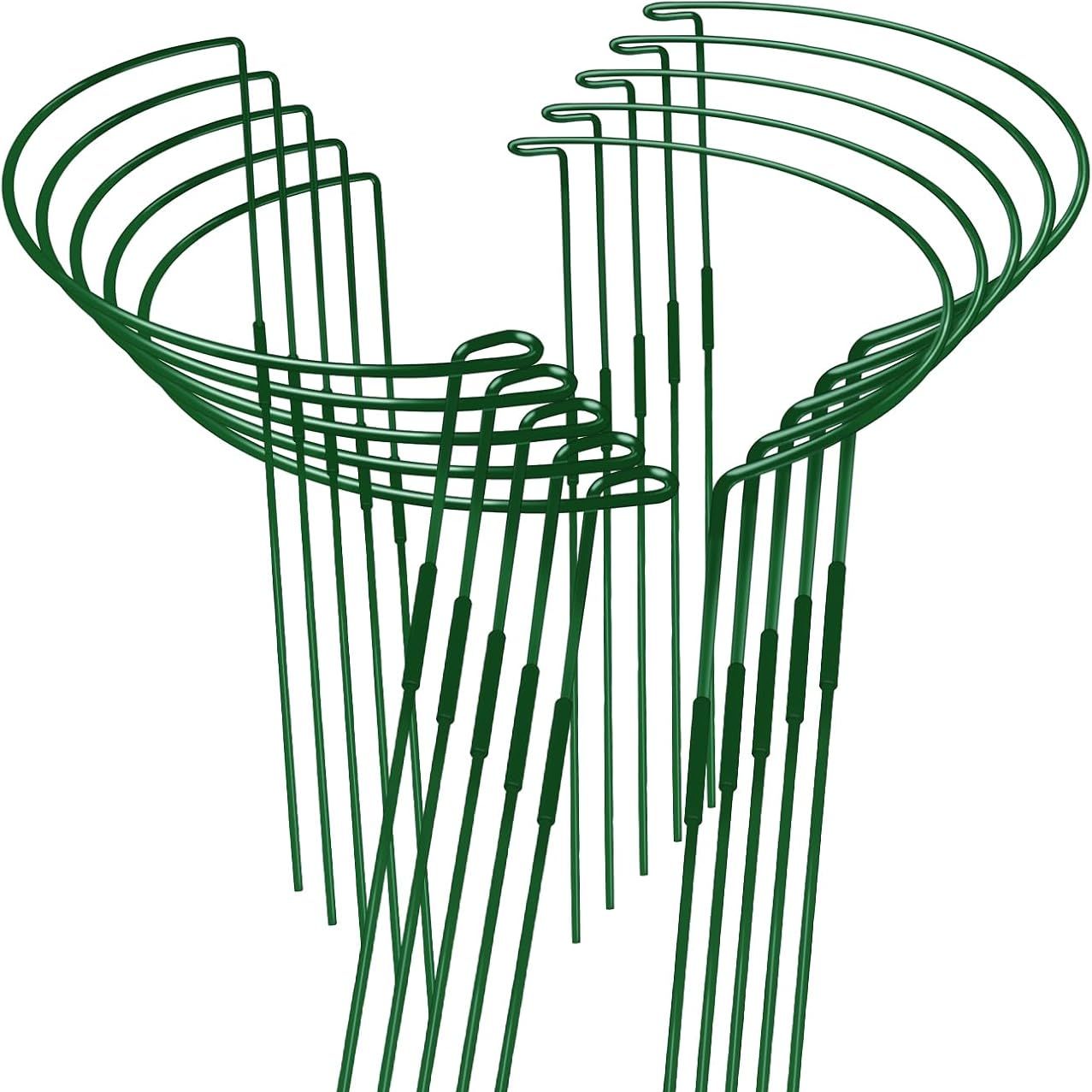 10-Pack Adjustable Height Snake Plant Support Stakes- Sturdy, Rust-Resistant Plant Supports for Indoor and Outdoor Potted Plants (16x10inch) - Flower and Garden Peony Support